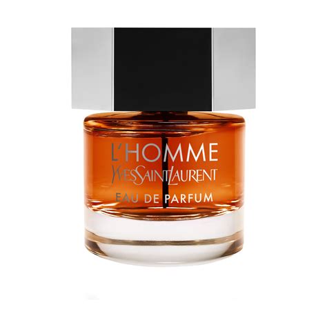 ysl l homme debenhams|ysl l'homme collection.